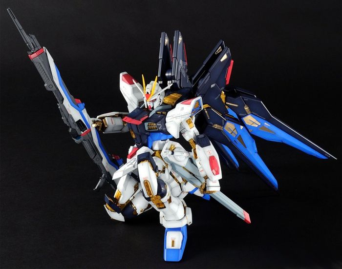 PG ZGMF-X20A Gundam Strike Freedom 1/60 Scale Model Kit