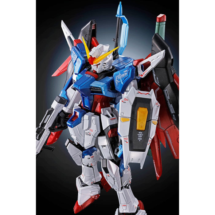 RG ZGMF-X42S Destiny Gundam Titanium Finish + Lightning Wing Effect Unit 1/144 Scale Model Kit Set